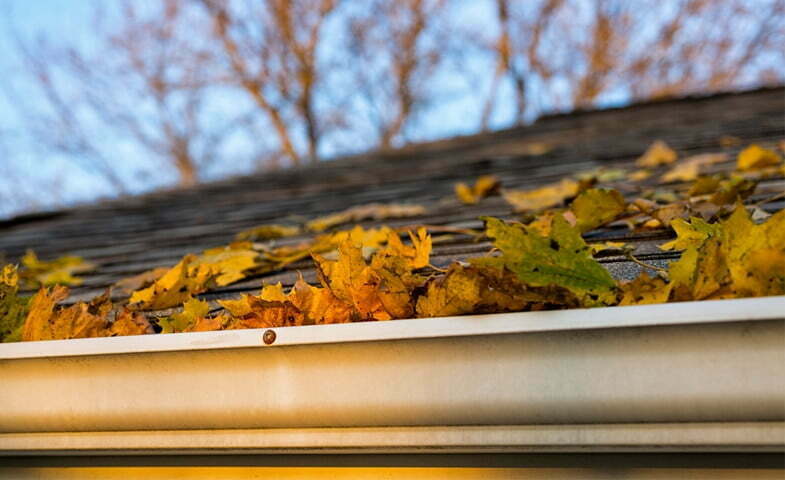Gutter cleaning company Amherst MA