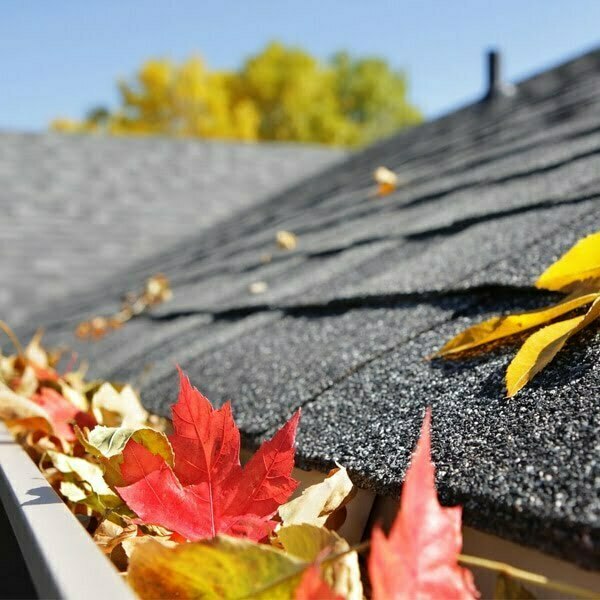 Gutter cleaning Rockland MA